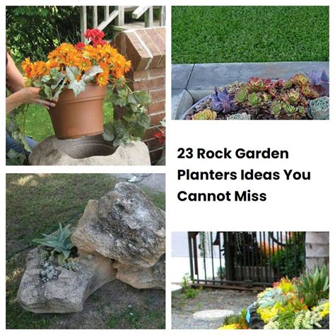 23 Rock Garden Planters Ideas You Cannot Miss Sharonsable
