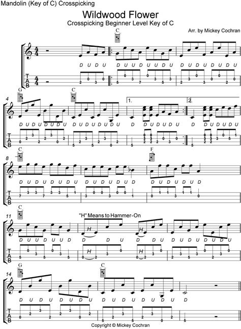 Pin By Lori Collins Herrmann On Mandolin Mandolin Songs Mandolin