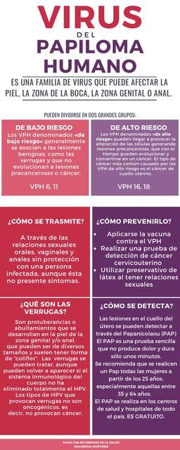 Infografía Virus del Papiloma Humano uDocz