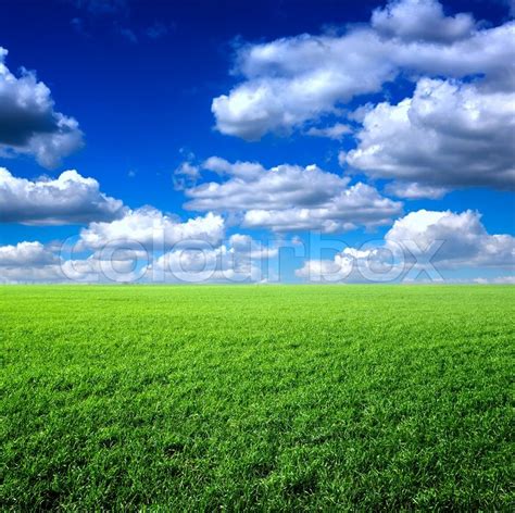 Green Grass The Blue Sky And White Clouds Stock Photo Colourbox