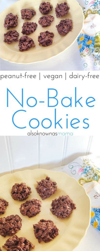 National center 7272 greenville ave. peanut-free no-bake cookies | dairy-free | vegan | dessert ...