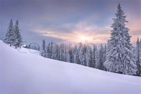 Beautiful Winter Landscape In The Mountains Sunset Stock