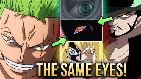 How Did Zoro Lose His Eye Answercatch