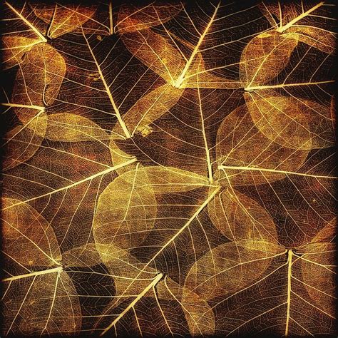Free Illustration Leaves Autumn Texture Brown Free Image On