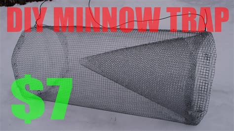 Next morning, simply open the bottle cap and pour the minnows into your bait bucket. DIY Minnow Trap 2018 - YouTube