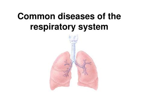 Common Respiratory System Diseases