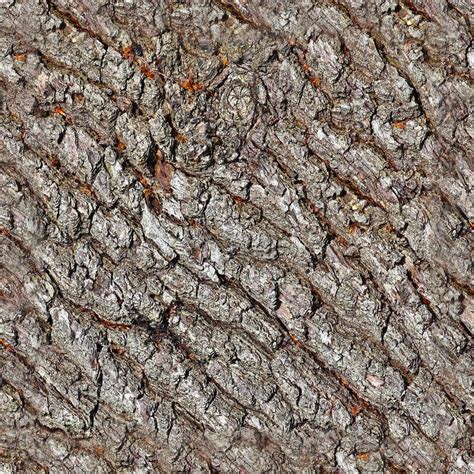 Detailed Repeatable Close Up Texture Of Natural Tree Bark Stock Image
