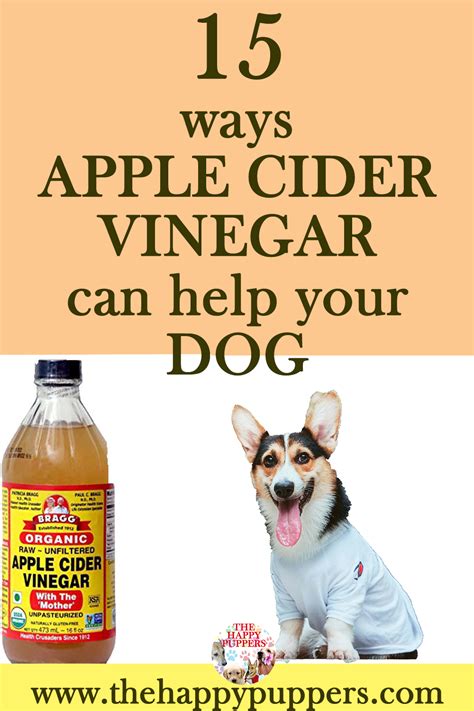 15 Ways Apple Cider Vinegar Can Help Your Dog Apple Cider Vinegar