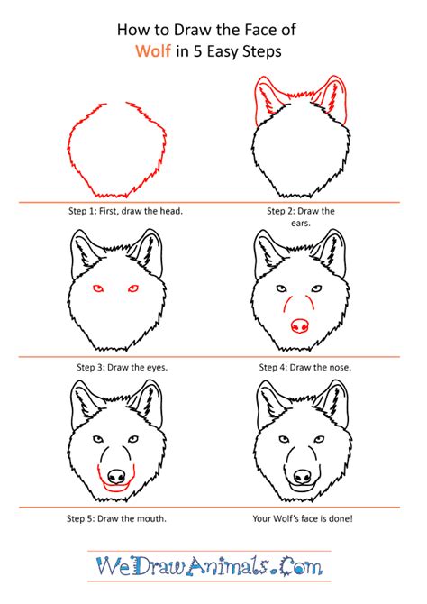 How To Draw A Wolf Face