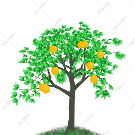 Orange Trees Png Transparent Original Hand Painted Fresh Orange Tree