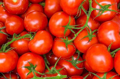 Learn How To Grow The Best Tomatoes Gardeners Path