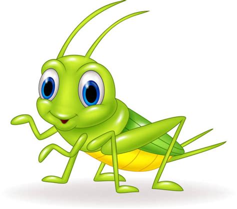 Cricket Bug Clipart Kids