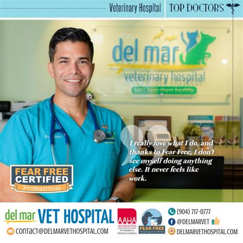 Del Mar Veterinary Hospital Saint Augustine Beach Fl