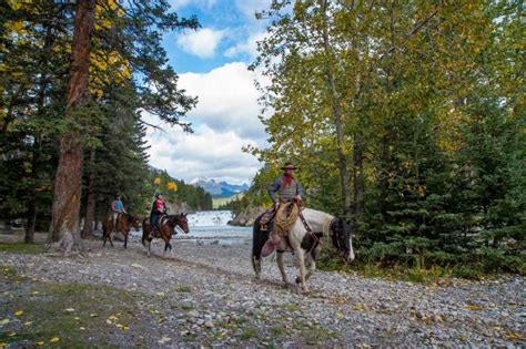 Banff National Park 1 Hour Spray River Horseback Ride Getyourguide