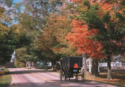 Places To See Fall Foliage In Indianas Cool North Nitdc