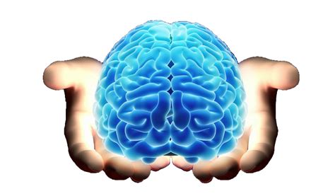 Blue Brain Transparent Images Png Arts