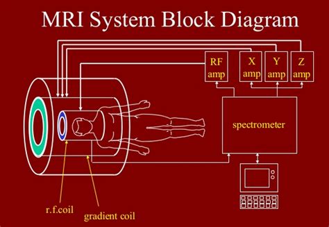 Magnetic Resonance Imaging Mri Part 1 How It Works