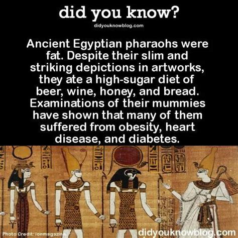 ya learn something new every day 😀 fun facts wow facts history facts