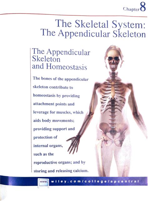 Solution Skeletal System Studypool