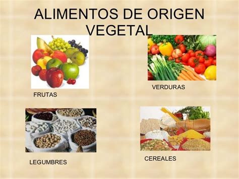 Alimentos De Origen Vegetal Para Imprimir Material Para Maestros Riset