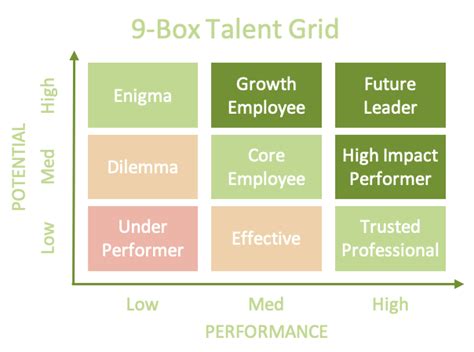 The Nine Box Talent Grid A Simple Summary The World Of Work Project