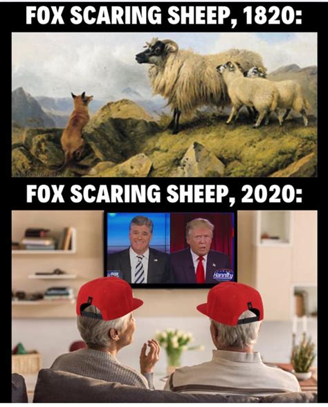 We The Sheeple Rpoliticalhumor