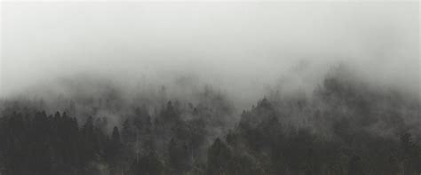 Free Images Mist Fog Haze Atmospheric Phenomenon Sky Morning