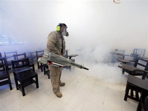 Suman 135 Muertes Por Dengue En México