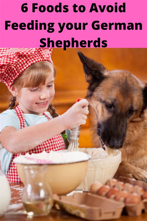 Maybe you would like to learn more about one of these? 6 Foods to Avoid Feeding your German Shepherd Dog in 2020 ...