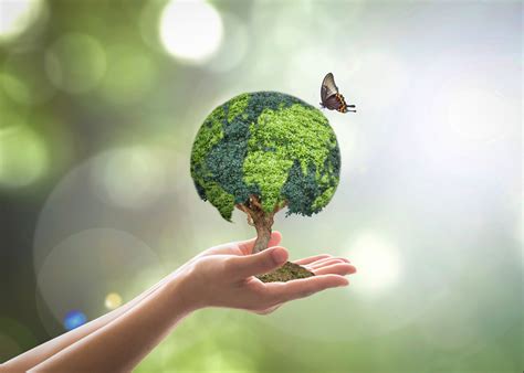 O Que é Conservação Ambiental