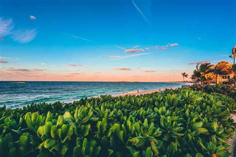 Sunset Vibes On Cove Beach Paradise Island Bahamas Paradise Island