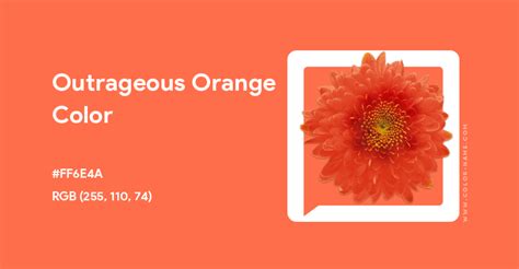 Outrageous Orange Color Hex Code Is Ff6e4a