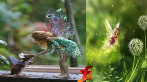 top 5 real fairies caught on camera and spotted in real life evidence youtube real fairies