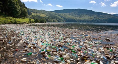 Can Plastic Eating Bacteria Help Solve The Plastic Pollution Problem