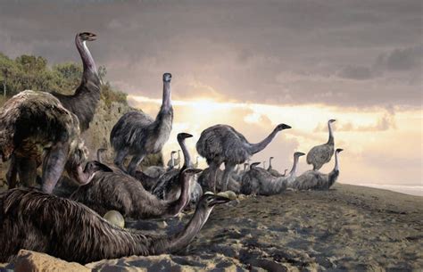 Abes Animals Live Restorations Of The Giant Extinct