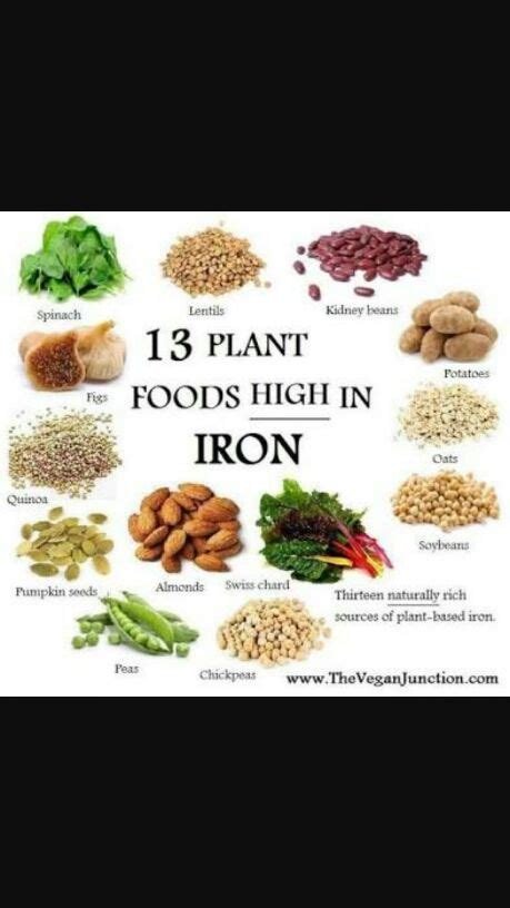 For the babies above six months iron needs are as follows these are the best iron rich food for babies and growing children. How much spinach can I give to my 9 month old as she is ...