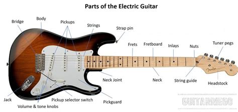 Parts Of A Electric Guitar