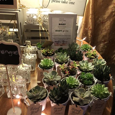 2 Wedding Succulents Succulents For Sale Bulk Succulent Wedding Favors