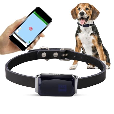 Smart Dog Gadgets To Make Your Dog Safe And Happy Jaxtr