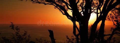 Sunset Panoramic Silhouette Of Trees Stock Image Image Of Light