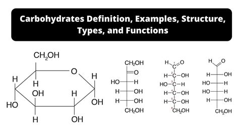 Carbohydrates Definition Examples Structure Types And Functions