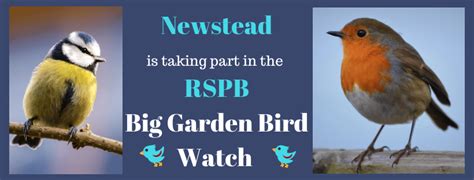 Big Garden Bird Watch Rspb Residents Activities Newstead Hereford
