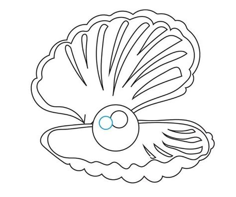 Pearl Oyster Drawing
