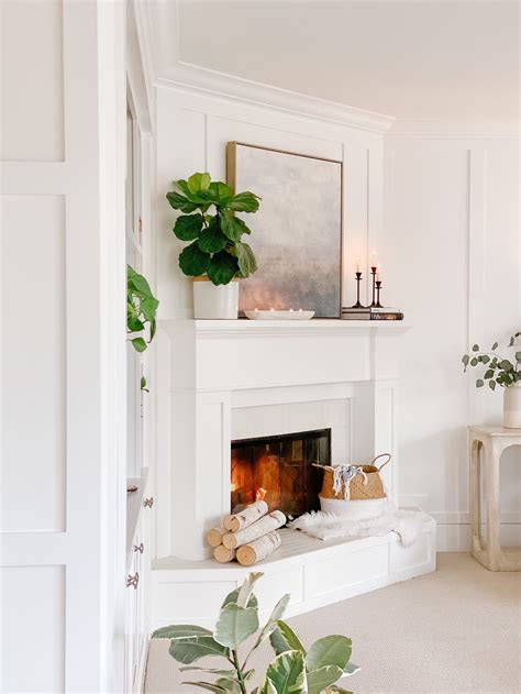 20 Plants For Fireplace Mantel