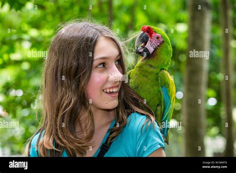 13 Years Old German Girl With Parrot On Her Shoulder Military Macaw