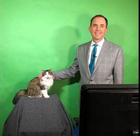 Cat Interrupts Meteorologist And Gets A New Job
