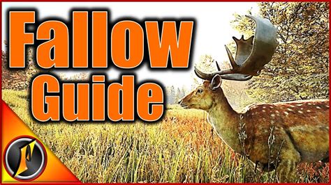 Fallow Deer Guide Thehunter Call Of The Wild Youtube