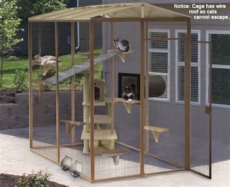 Diy Outdoor Cat Enclosure Attached To House ~ Legs For A Bench