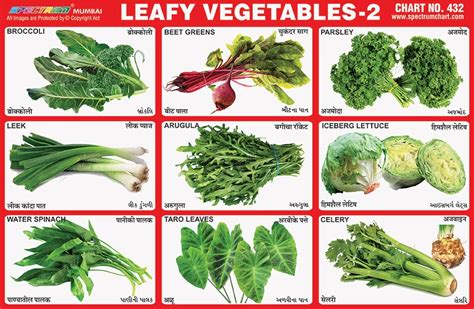 Green Leafy Vegetables Images With Names Andi Healthy