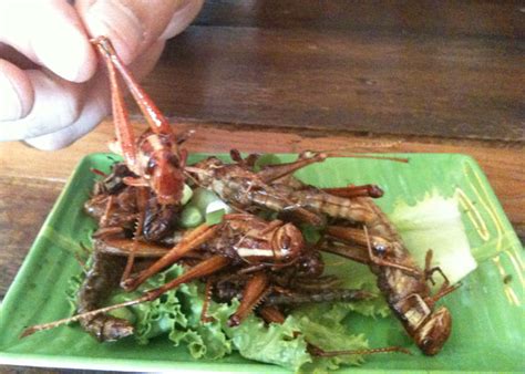 The exoskeleton of a grasshopper serves as a layer of protection, support, feeding, and excreting. Grasshoppers at Mee Sen Thai Eatery - Dave Knows Portland